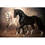 Tableau Chevaux Western