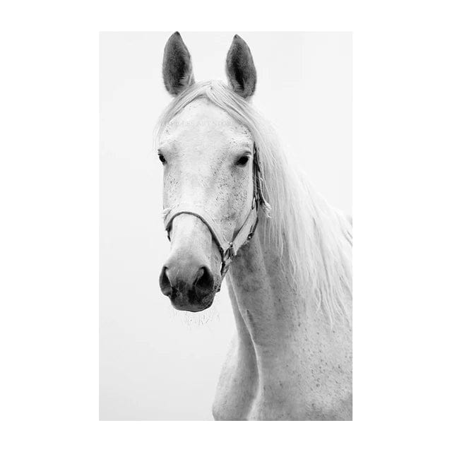 Tableau Noir et Blanc